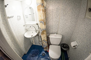 Бета(2)---.jpg