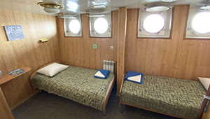 an_beta_2m_109_01.jpg