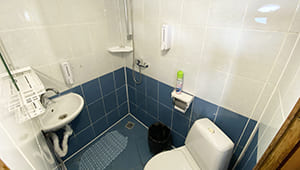 an_beta_2m_109_03.jpg